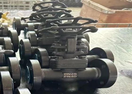 صمامات فولاذية بطول 1/2 بوصة مع هيكل جسم غطاء المقبس ودعم مخصص