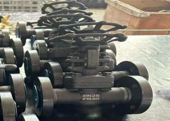 صمام بوابة فولاذي يدوي مع غطاء مقفل DN10-DN50 150lb-1500lb مقاومة التآكل العالية